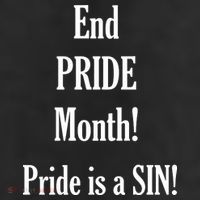 End Pride Month Pride Is A SIN 11oz C Handle Ceramic Mug