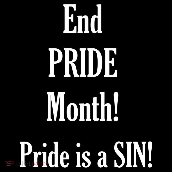 End Pride Month Pride Is A SIN Pom Pom 12in Knit Beanie