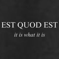 Est Quod Est - It Is What It Is Funny Latin Language 7 Panel Mesh Trucker Snapback Hat