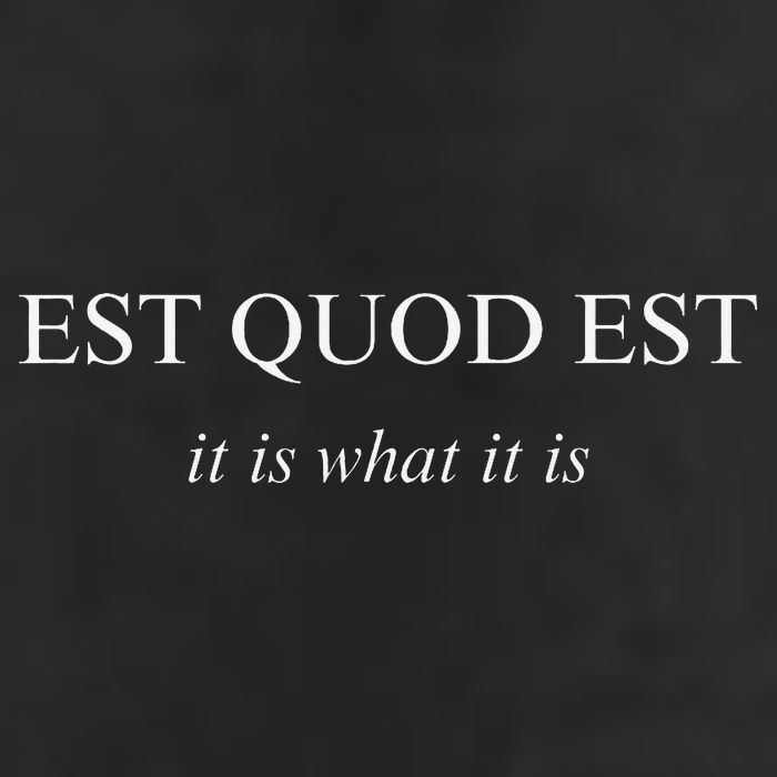 Est Quod Est - It Is What It Is Funny Latin Language 7 Panel Mesh Trucker Snapback Hat