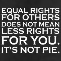 Equal Rights For Others Does Not Mean Less Rights For You 7 Panel Mesh Trucker Snapback Hat