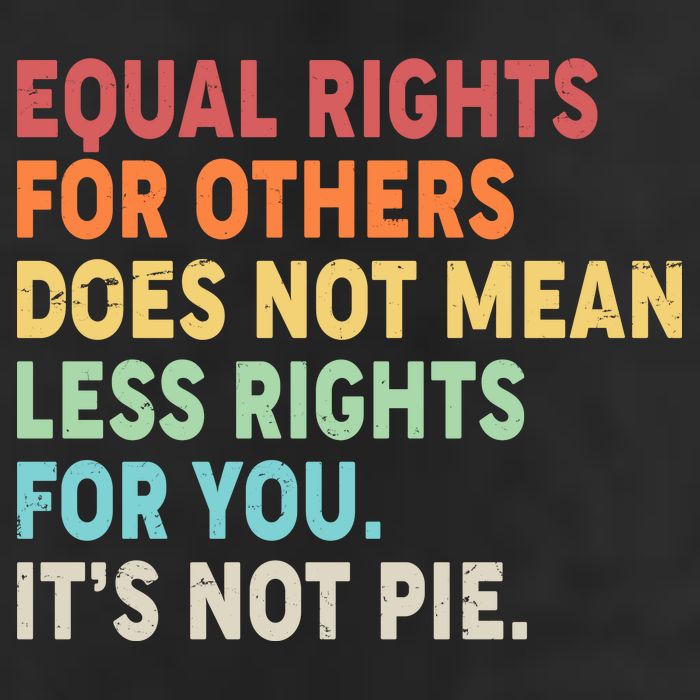 Equal Rights It's Not Pie Adult Drive Performance Visor