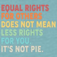 Equal Rights It's Not Pie Sueded Cloud Jersey T-Shirt
