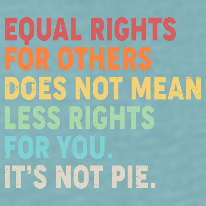 Equal Rights It's Not Pie Sueded Cloud Jersey T-Shirt