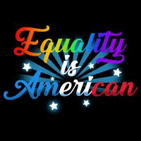 Equality Is American Women's V-Neck T-Shirt