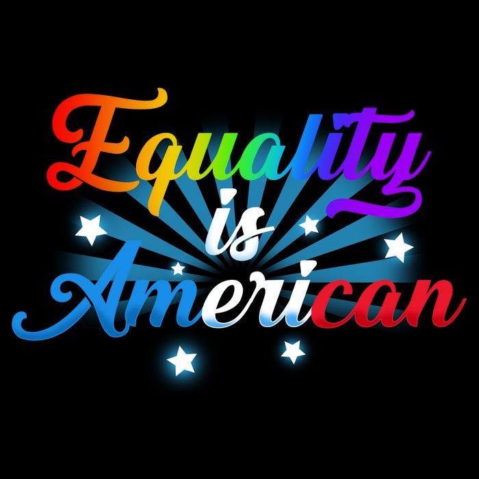 Equality Is American Women's V-Neck T-Shirt