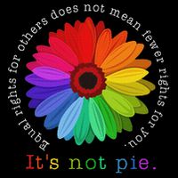 Equal Rights For Others It's Not Pie Daisy Flower Daily Commute Backpack