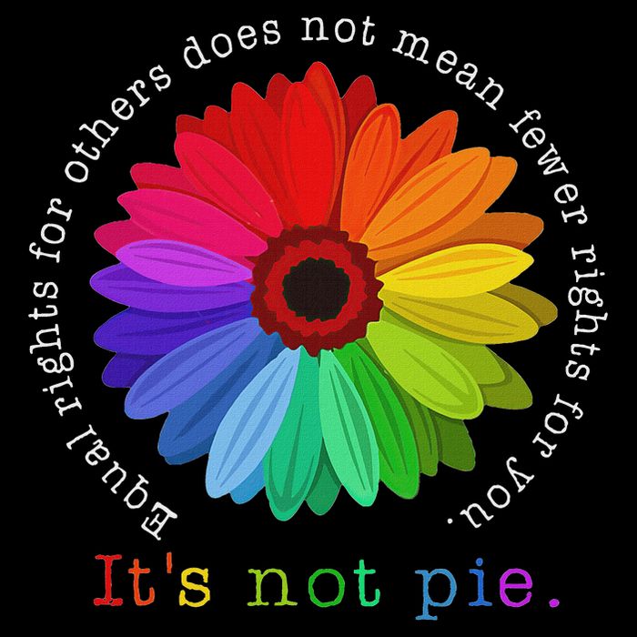 Equal Rights For Others It's Not Pie Daisy Flower Daily Commute Backpack