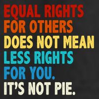 Equal Rights For Other Does Not Mean Less Rights For You It's Not Pie 7 Panel Mesh Trucker Snapback Hat
