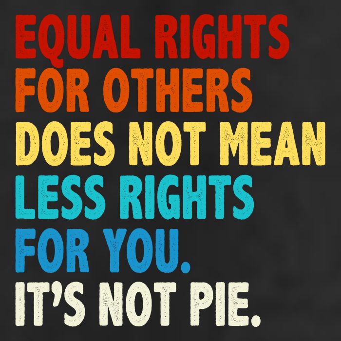 Equal Rights For Other Does Not Mean Less Rights For You It's Not Pie 7 Panel Mesh Trucker Snapback Hat