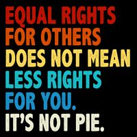 Equal Rights For Other Does Not Mean Less Rights For You It's Not Pie Toddler T-Shirt