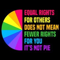 Equal Rights For Others Does Not Mean Fewer Rights For You Wool Snapback Cap