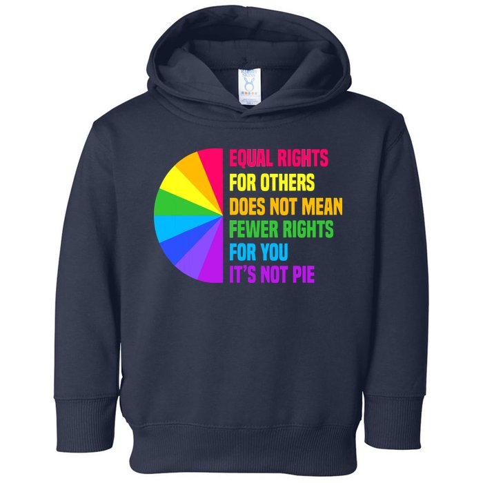 Equal Rights For Others Does Not Mean Fewer Rights For You Toddler Hoodie