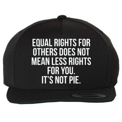 Equal Rights For Others Does Not Mean Less Rights For You It's Not Pie Wool Snapback Cap