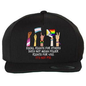 Equal Rights For Others Does Not Mean Fewer Rights For You Wool Snapback Cap