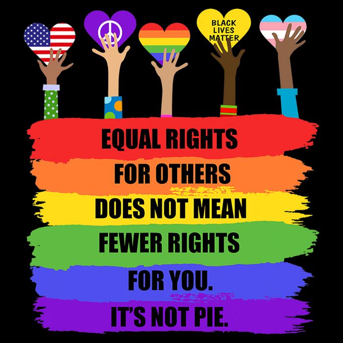 Equal Rights For Others LGBT Pride Month 2022 Cropped Pullover Crew