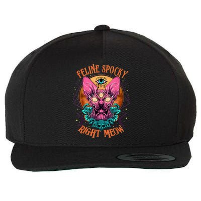 Edgy Rock Goth Metalhead Art With Sphynx Hairless Cat Wool Snapback Cap