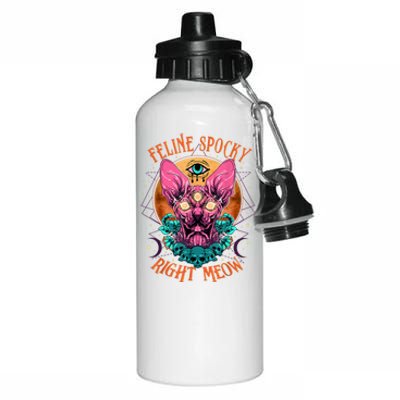 Edgy Rock Goth Metalhead Art With Sphynx Hairless Cat Aluminum Water Bottle 