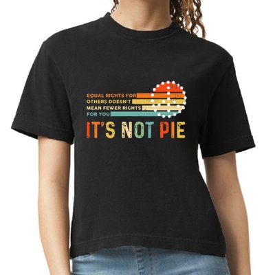 Equal Rights Vintage It’S Not Pie Comfort Colors Boxy T-Shirt