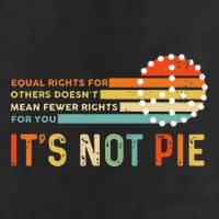 Equal Rights Vintage It’S Not Pie Hat