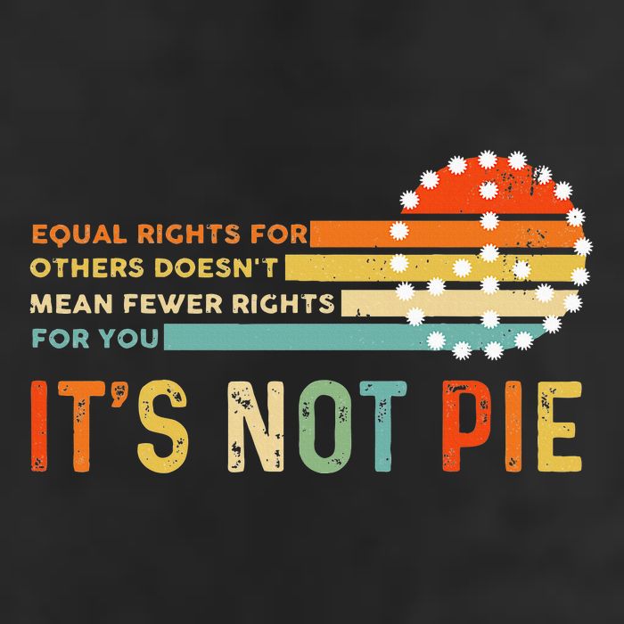 Equal Rights Vintage It’S Not Pie Hat