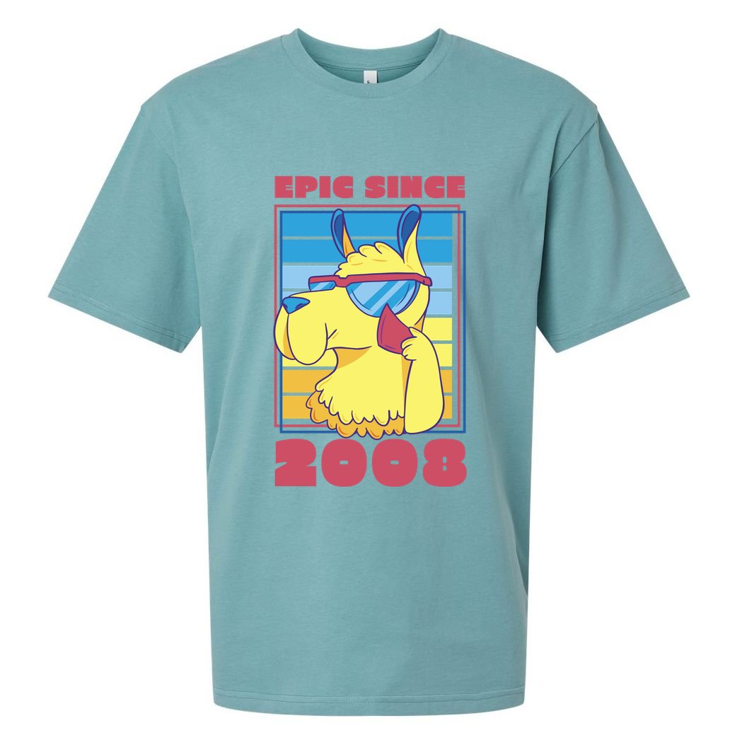Epic Since 2008 Birthday Gift Sueded Cloud Jersey T-Shirt