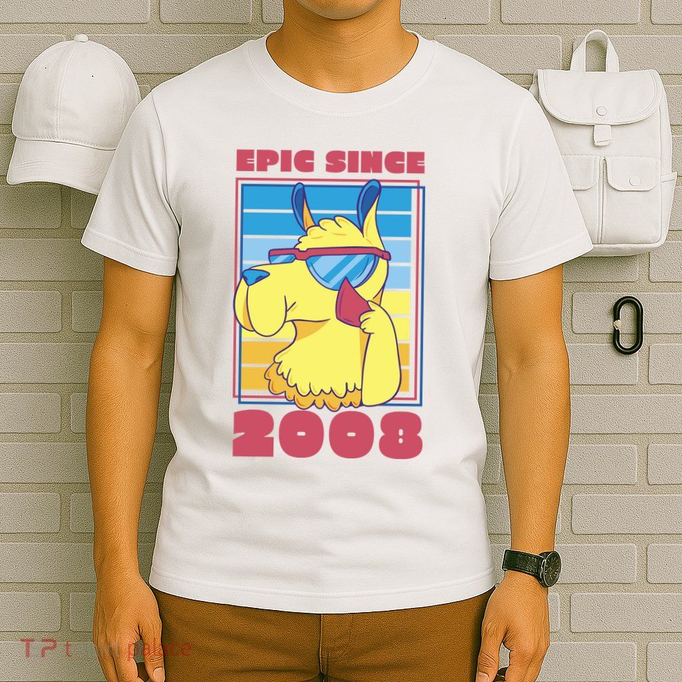 Epic Since 2008 Birthday Gift T-Shirt
