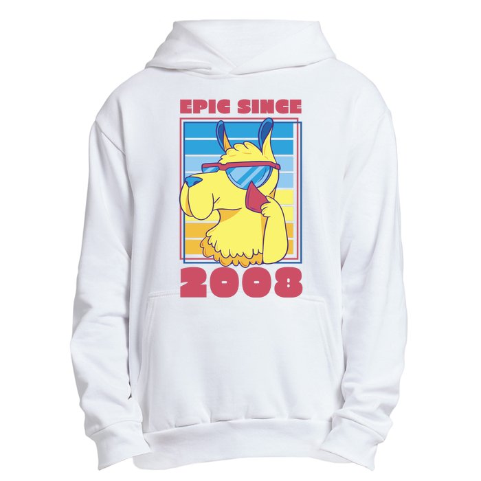 Epic Since 2008 Birthday Gift Urban Pullover Hoodie