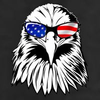 Eagle Sunglasses 4th Of July American Flag Adult Drive Performance Visor