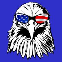 Eagle Sunglasses 4th Of July American Flag 16 in Basic Backpack
