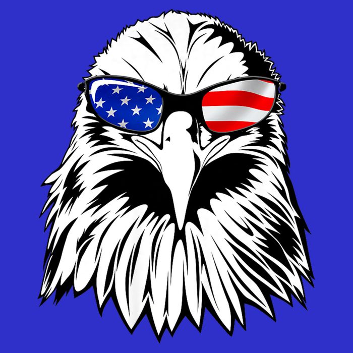 Eagle Sunglasses 4th Of July American Flag 16 in Basic Backpack