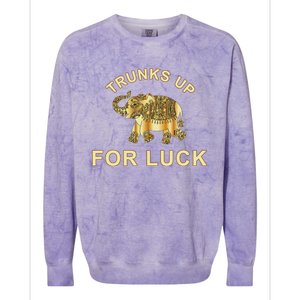 Elephant Spirit Animal Totem Trunks Up For Good Luck Lucky Colorblast Crewneck Sweatshirt