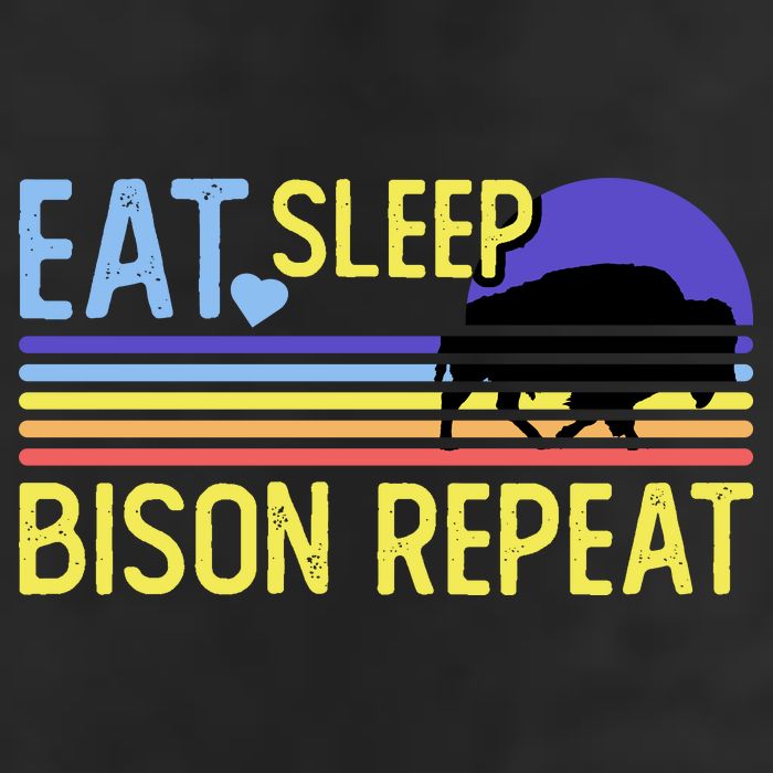 Eat Sleep Bison Repeat 15oz Campfire Ceramic Mug