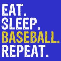 Eat Sleep Baseball Repeat Gift Bag