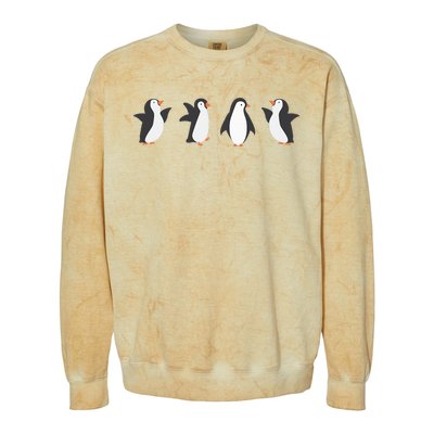 Emperor Sea Bird King Penguin Lover Penguin Colorblast Crewneck Sweatshirt