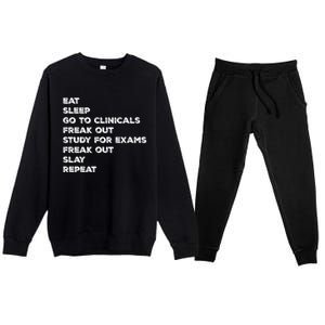 Eat Sleep Clinicals Nurse Nursing School Student Gift Meaningful Gift Premium Crewneck Sweatsuit Set