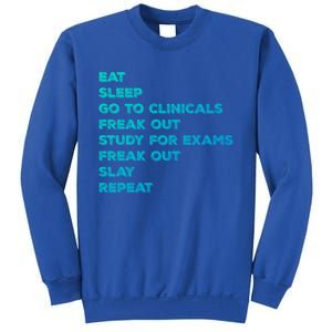 Eat Sleep Clinicals Nurse Nursing School Student Gift Meaningful Gift Sweatshirt