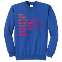 Eat Sleep Clinicals Nurse Nursing School Student Gift Meaningful Gift Sweatshirt