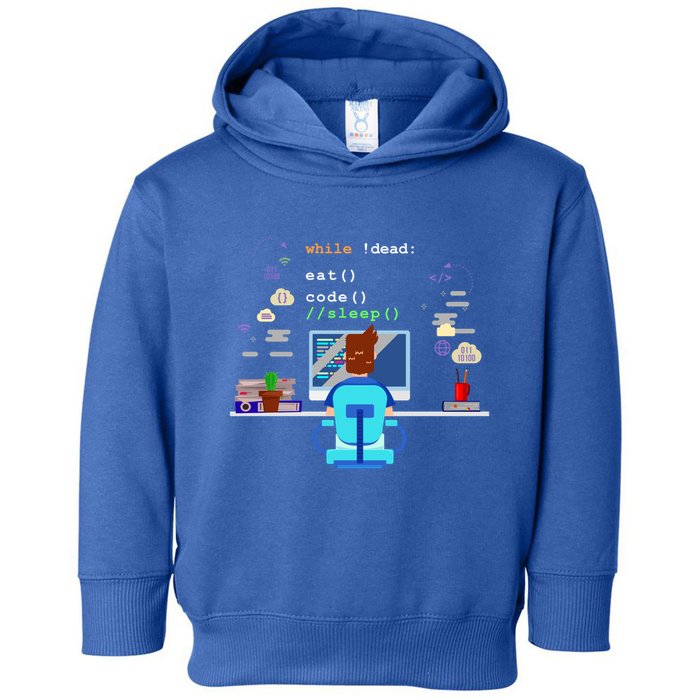 Eat Sleep Code Computer Science Programming Cute Gift Toddler Hoodie