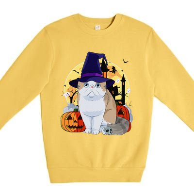 Exotic Shorthair Cute Cat Halloween Witch Pumpkin Premium Crewneck Sweatshirt