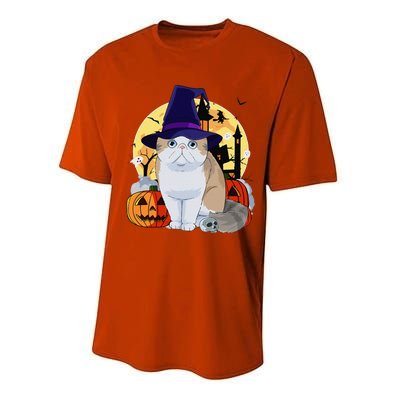 Exotic Shorthair Cute Cat Halloween Witch Pumpkin Performance Sprint T-Shirt