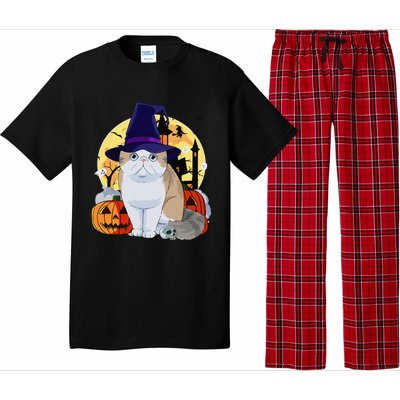 Exotic Shorthair Cute Cat Halloween Witch Pumpkin Pajama Set