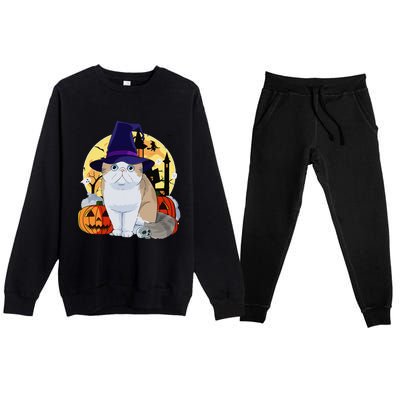 Exotic Shorthair Cute Cat Halloween Witch Pumpkin Premium Crewneck Sweatsuit Set