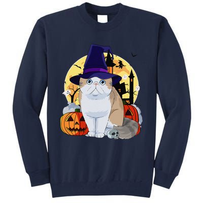 Exotic Shorthair Cute Cat Halloween Witch Pumpkin Tall Sweatshirt