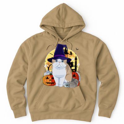 Exotic Shorthair Cute Cat Halloween Witch Pumpkin Hoodie