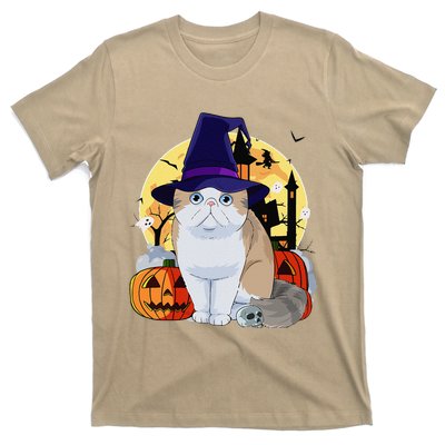 Exotic Shorthair Cute Cat Halloween Witch Pumpkin T-Shirt