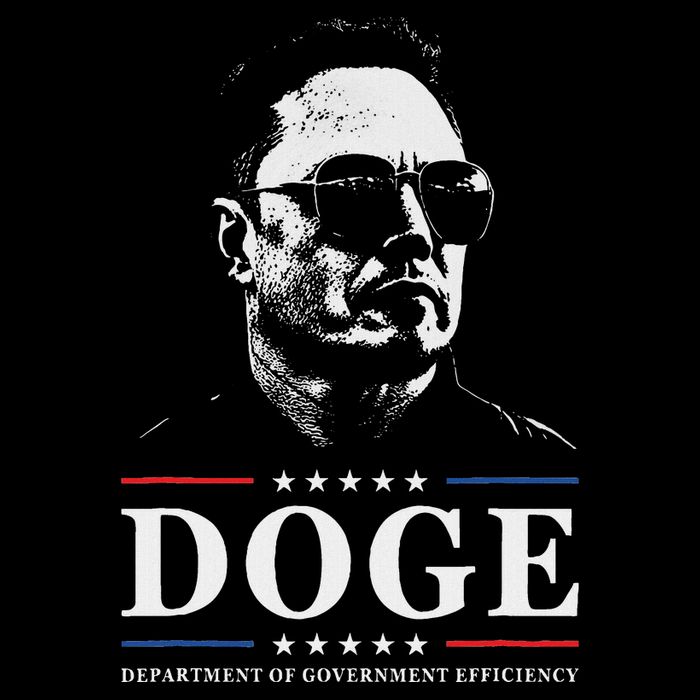 Elon Sunglasses D.O.G.E. Department Of Government Efficiency 7-Panel Snapback Hat