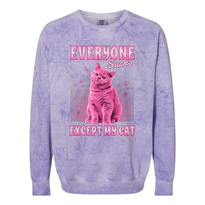 Everyone Sucks Except My Cat Colorblast Crewneck Sweatshirt