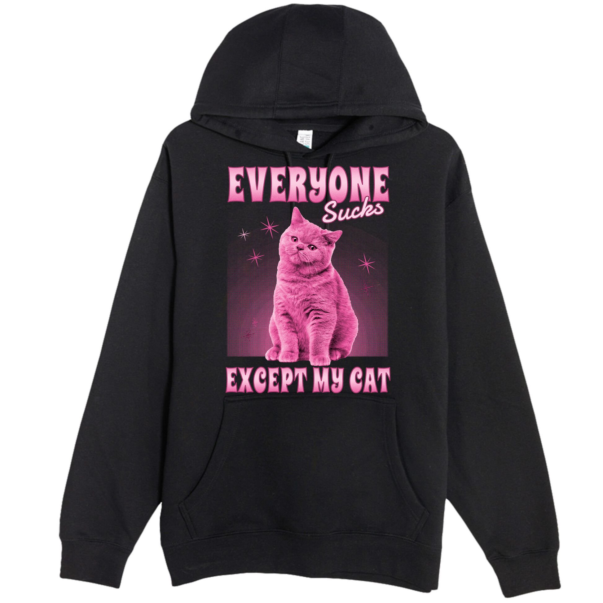 Everyone Sucks Except My Cat Premium Pullover Hoodie