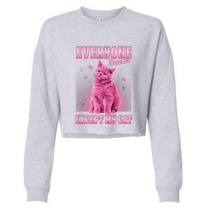 Everyone Sucks Except My Cat Cropped Pullover Crew